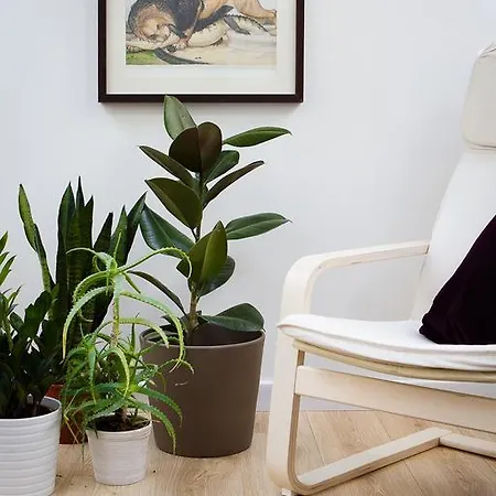 Apple Tree Apartamento Cracovia